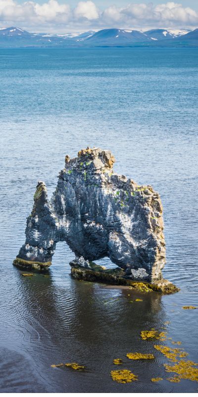 blog_in_Hvitserkur_westfjords_iceland